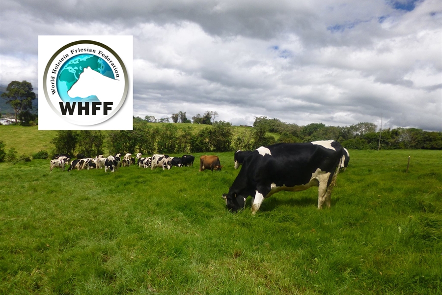 El Consejo de la Federacin Mundial de Raza Holstein mantiene como...