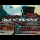 Vdeo "Seguimos trabajando para ti" de Agroseguro en agradecimiento a ganaderos y agricultores