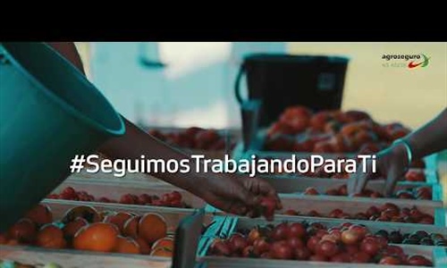 Vdeo "Seguimos trabajando para ti" de Agroseguro en agradecimiento a...