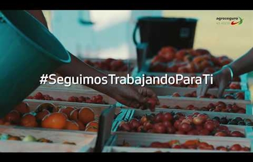Vídeo "Seguimos trabajando para ti" de Agroseguro en agradecimiento a...