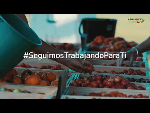Vdeo "Seguimos trabajando para ti" de Agroseguro en agradecimiento a...