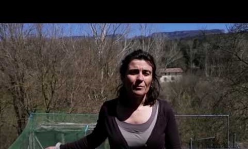 Vdeo: Mensaje de FEFRIC