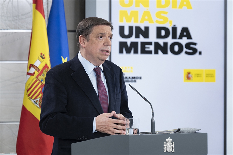 El Gobierno aprueba medidas urgentes para favorecer la contratacin...