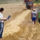 Los ingenieros agrnomos consideran de imperiosa necesidad disponer de mano de obra y de tecnologas adecuadas para garantizar el  abastecimiento de alimentos