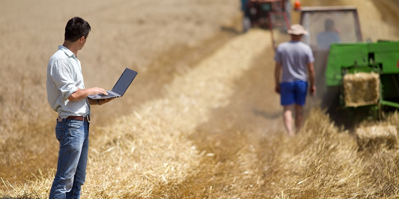 Los ingenieros agrnomos consideran de imperiosa necesidad disponer de mano de obra y de tecnologas adecuadas para garantizar el  abastecimiento de alimentos