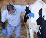 Pascual provee de mascarillas a sus ganaderos y agricultores durante la crisis del COVID-19