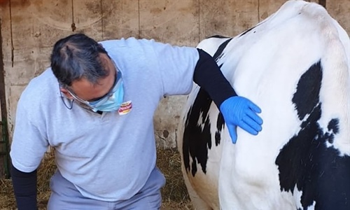 Pascual provee de mascarillas a sus ganaderos y agricultores durante la...