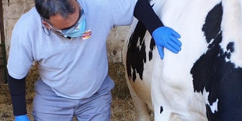 Pascual provee de mascarillas a sus ganaderos y agricultores durante la crisis del COVID-19