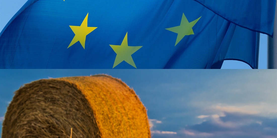 La Comisi�n Europea presenta sus medidas para hacer frente a los...