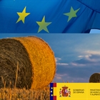 La Comisión Europea presenta sus medidas para hacer frente a los efectos del COVID-19
