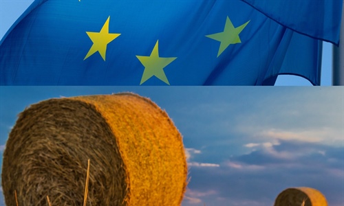 La Comisin Europea presenta sus medidas para hacer frente a los...