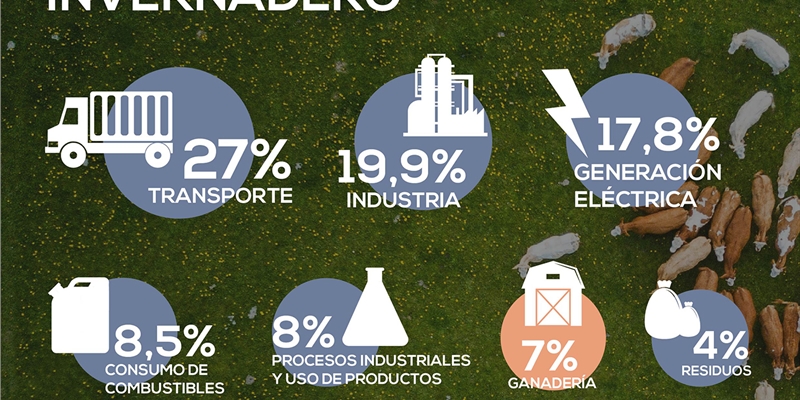 Los registros de contaminacin de las ltimas semanas muestran que la ganadera no es la responsable principal del cambio climtico