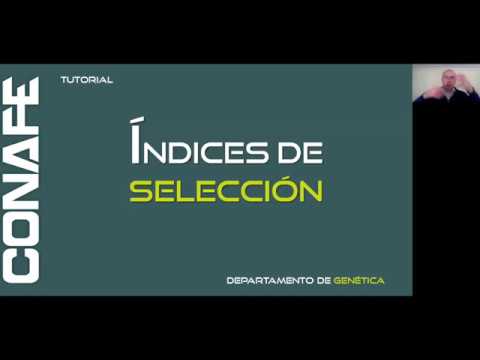 Tutoriales CONAFE: �ndices de selecci�n