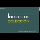 Tutoriales CONAFE: ndices de seleccin