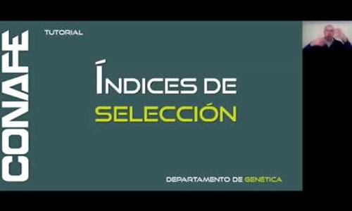 Tutoriales CONAFE: ndices de seleccin