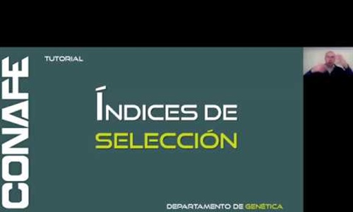 Tutoriales CONAFE: ndices de seleccin