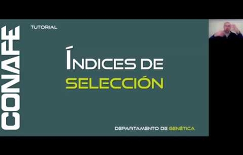 Tutoriales CONAFE: ndices de seleccin