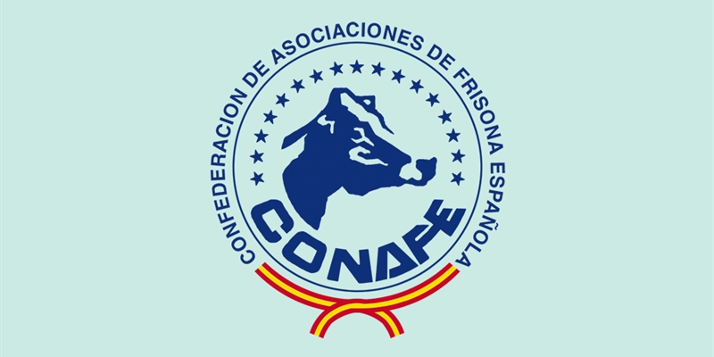Reanudación del Servicio de Calificación Morfológica de CONAFE