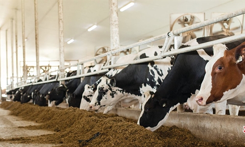 Holstein Canad nombra nuevo director ejecutivo