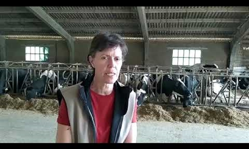 Inlac agradece el trabajo del sector lácteo por garantizar el...