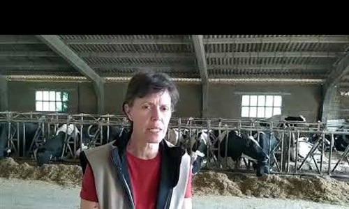 Inlac agradece el trabajo del sector lcteo por garantizar el...