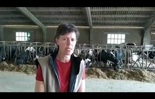 Inlac agradece el trabajo del sector lcteo por garantizar el...