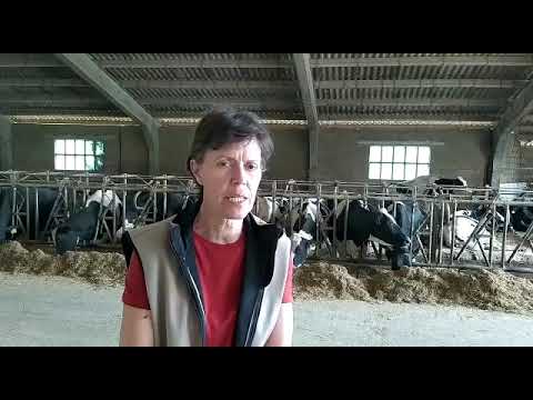 Inlac agradece el trabajo del sector lácteo por garantizar el...