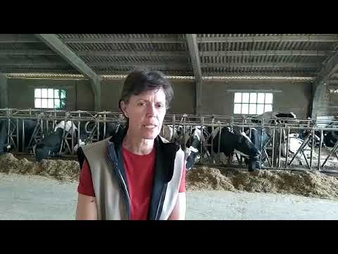 Inlac agradece el trabajo del sector lcteo por garantizar el...
