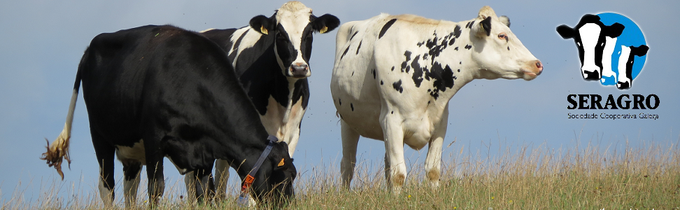 Se cancelan las XVIII Jornadas T�cnicas de Vacuno de Leche previstas...