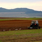 Autorizado el convenio entre Enesa y Agroseguro para la ejecucin de los planes de seguros agrarios en el ejercicio 2020