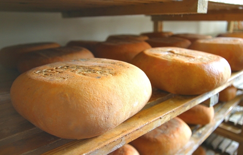 Las ventas del queso Mahn-Menorca se han desplomado durante estado de...