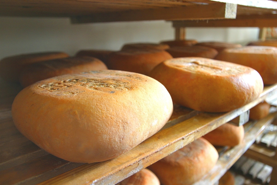 Las ventas del queso Mahón-Menorca se han desplomado durante estado de...