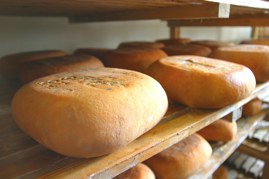 Las ventas del queso Mahn-Menorca se han desplomado durante estado de...