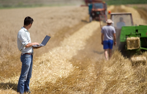 Lanzan una iniciativa medioambiental para repoblar la Espaa rural