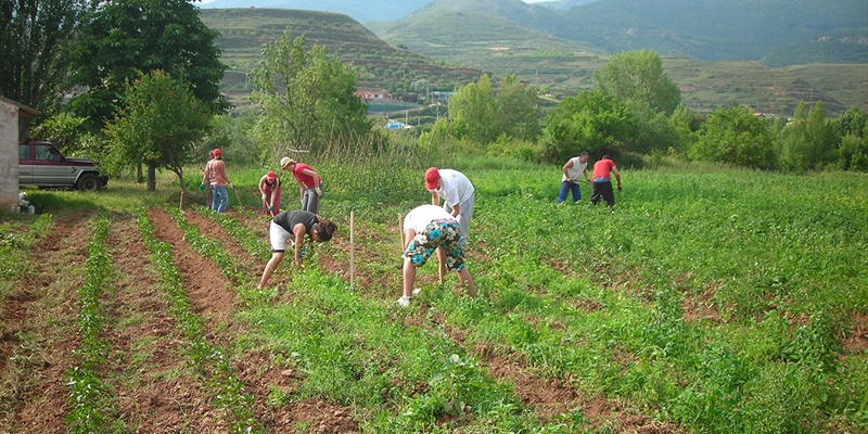 El Gobierno aprueba la prrroga de las medidas urgentes para  la contratacin temporal de trabajadores en el sector agrario