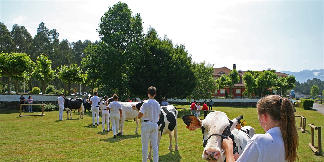 Javier �lvarez y Quim Serrabassa, en el Panel de jueces de Manejadores...