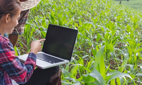 El Colegio de Ingenieros Agrnomos presenta 20 medidas agronmicas para...