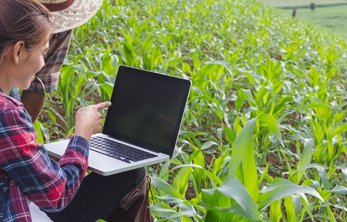 El Colegio de Ingenieros Agrnomos presenta 20 medidas agronmicas para...