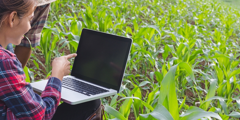 El Colegio de Ingenieros Agrnomos presenta 20 medidas agronmicas para la reconstruccin social y econmica de Espaa