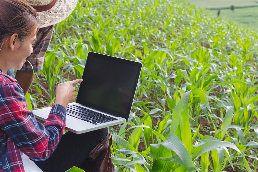 El Colegio de Ingenieros Agrnomos presenta 20 medidas agronmicas para...