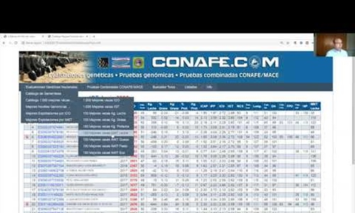 Tutoriales CONAFE: Nuevas pruebas de Junio 2020