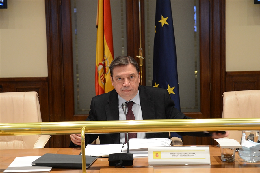 Planas anuncia un paquete de medidas adicionales de apoyo al sector...