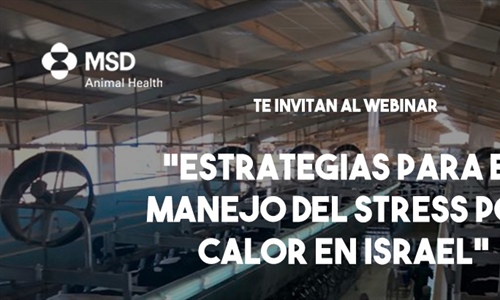 MSD Animal Health celebra dos webinars de vacuno de leche el 2 y 9 de julio