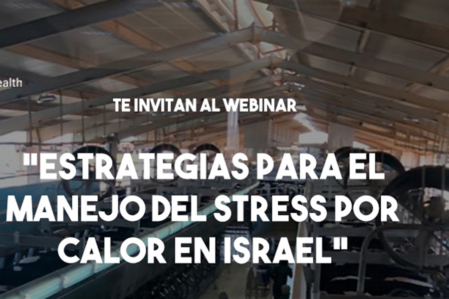 MSD Animal Health celebra dos webinars de vacuno de leche el 2 y 9 de julio