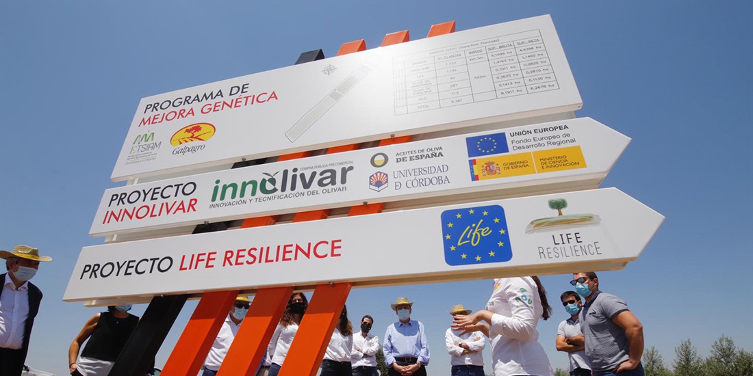 El Gobierno apuesta por impulsar I+D+i para mejorar la eficiencia de...