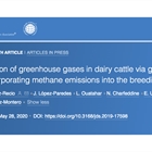 Mitigación de gases de efecto invernadero en ganado lechero mediante selección genética