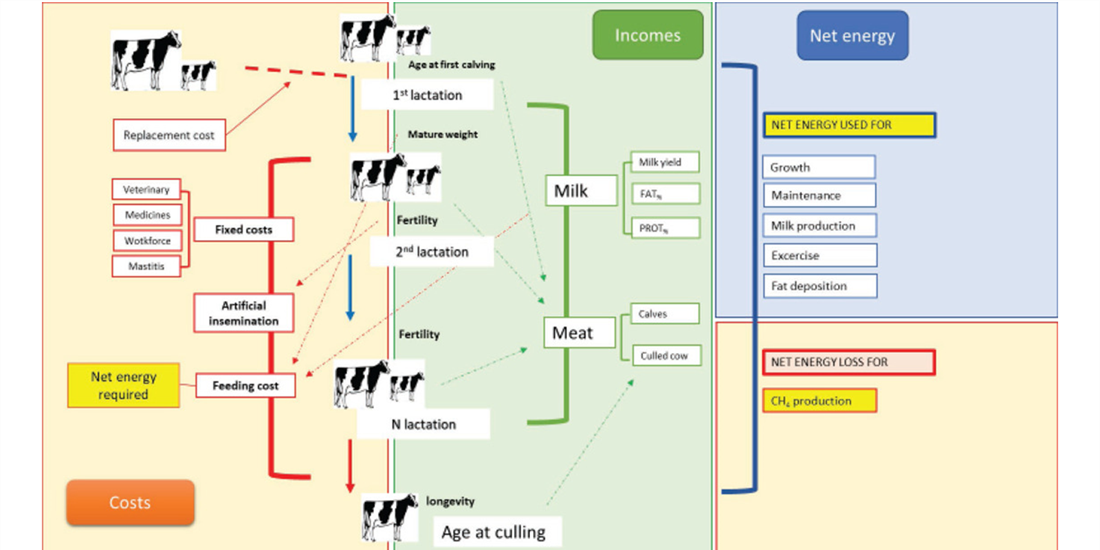 La revista cientfica Journal of Dairy Science destaca el proyecto...