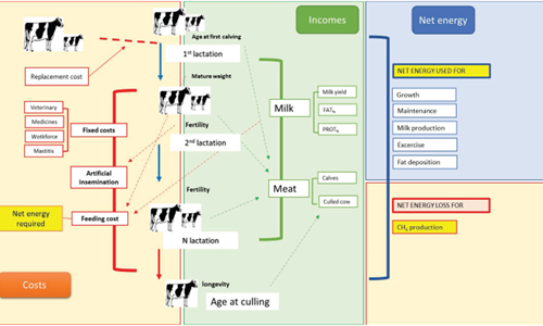 La revista cientfica Journal of Dairy Science destaca el proyecto...