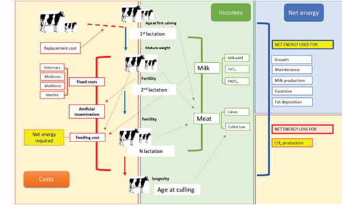 La revista cientfica Journal of Dairy Science destaca el proyecto...