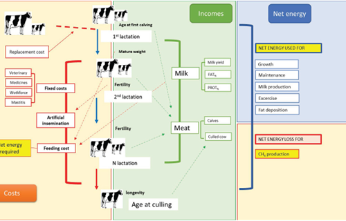 La revista cientfica Journal of Dairy Science destaca el proyecto...